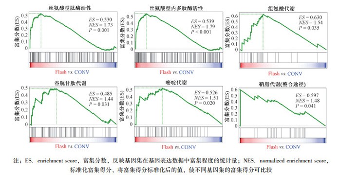 Transcriptome analysis of radiation-induced brain injury in mice subjected to Flash whole-brain irradiation with electron beams